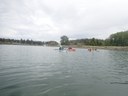 Sea Kayak - Snohomish River