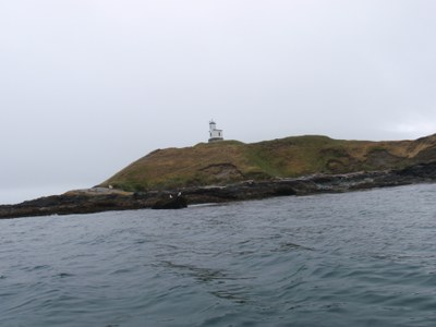 Sea Kayak - Washington Park to Friday Harbor