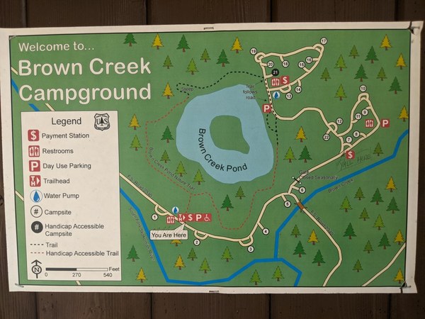Brown Creek 2024.jpg