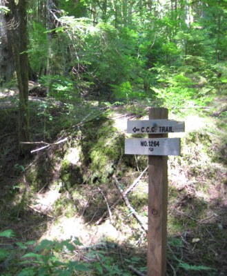 Stewardship - CCC Road: Lower Trailhead