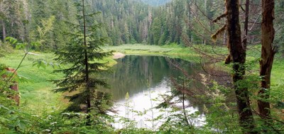 Stewardship - Church Creek–Satsop Lakes