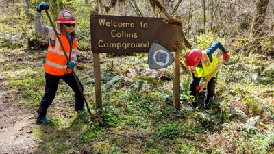 Stewardship - Collins Campground