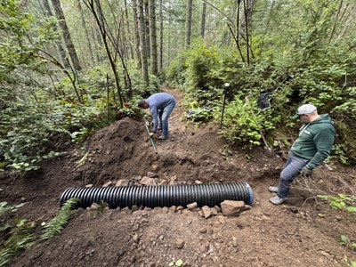 Stewardship - Green Mountain: Gold Creek Trail
