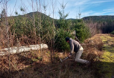 Stewardship - Raging River State Forest
