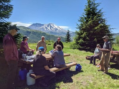 Stewardship - The Hummocks