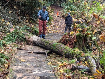 Stewardship - Tolmie State Park