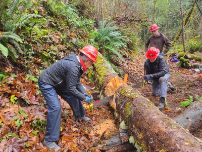 Stewardship - Tolmie State Park