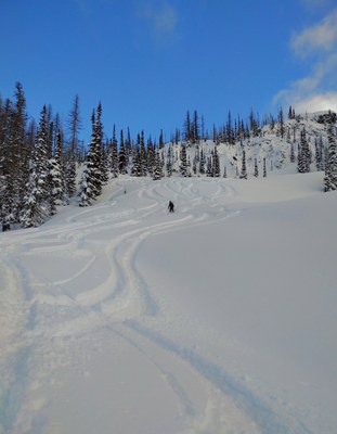 Stewardship - Windy Knob