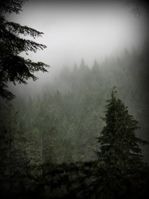 Frontcountry Trail Run - Tradition Plateau Interpretive Shelter