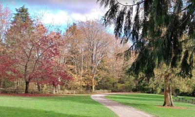 Urban Adventure - Cowen & Ravenna Parks