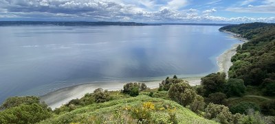 Urban Adventure - Dockton Forest & Maury Island Natural Area