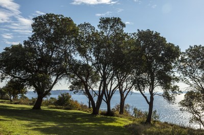 Urban Adventure - Magnolia Boulevard Viewpoints