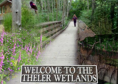 Urban Adventure - Mary E Theler Wetlands