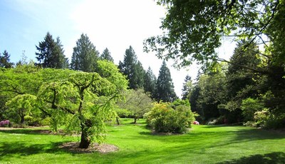 Urban Adventure - Washington Park Arboretum