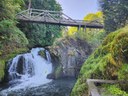 Urban Walk - Tumwater Falls Park
