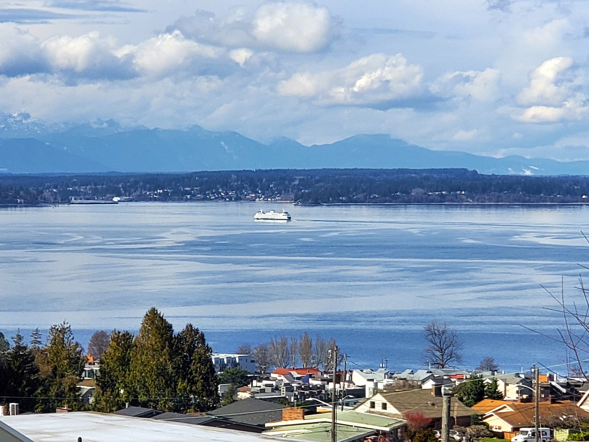 Urban Walk - West Seattle — The Mountaineers