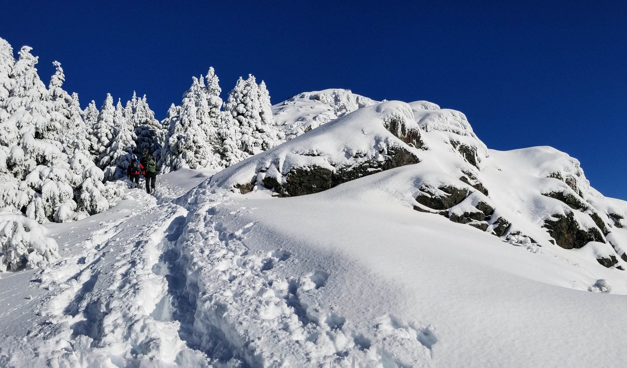 Winter Scramble Mount Teneriffe/Serendipity Ridge — The Mountaineers