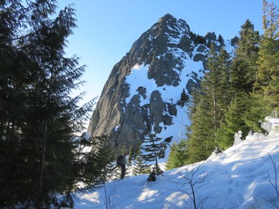 Winter Scramble - Mount Teneriffe (winter)