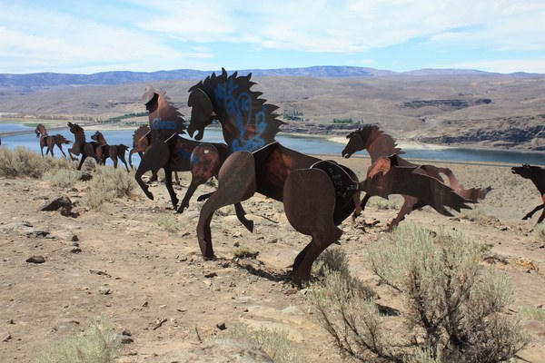 14823318752_e11cc571a8_b.jpg 14823318752_e11cc571a8_b.jpg