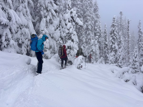 IMG_0534.jpeg IMG_0534.jpeg