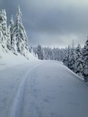 Amabilis Mountain