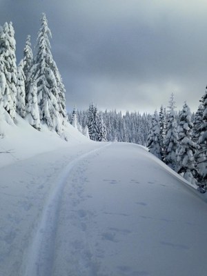 Amabilis Mountain