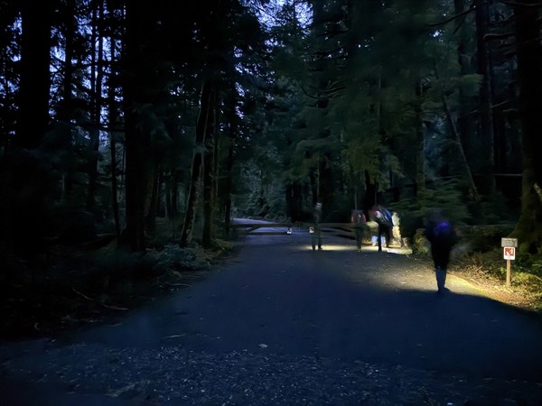 IMG_1527.jpeg IMG_1527.jpeg