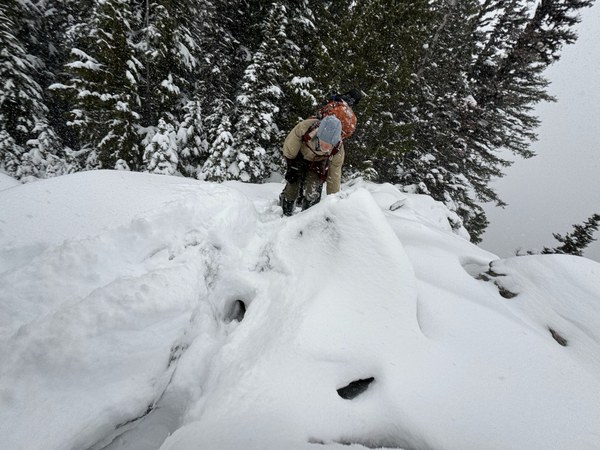 IMG_1534.jpeg IMG_1534.jpeg