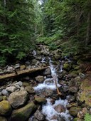 Asahel Curtis Nature Trail