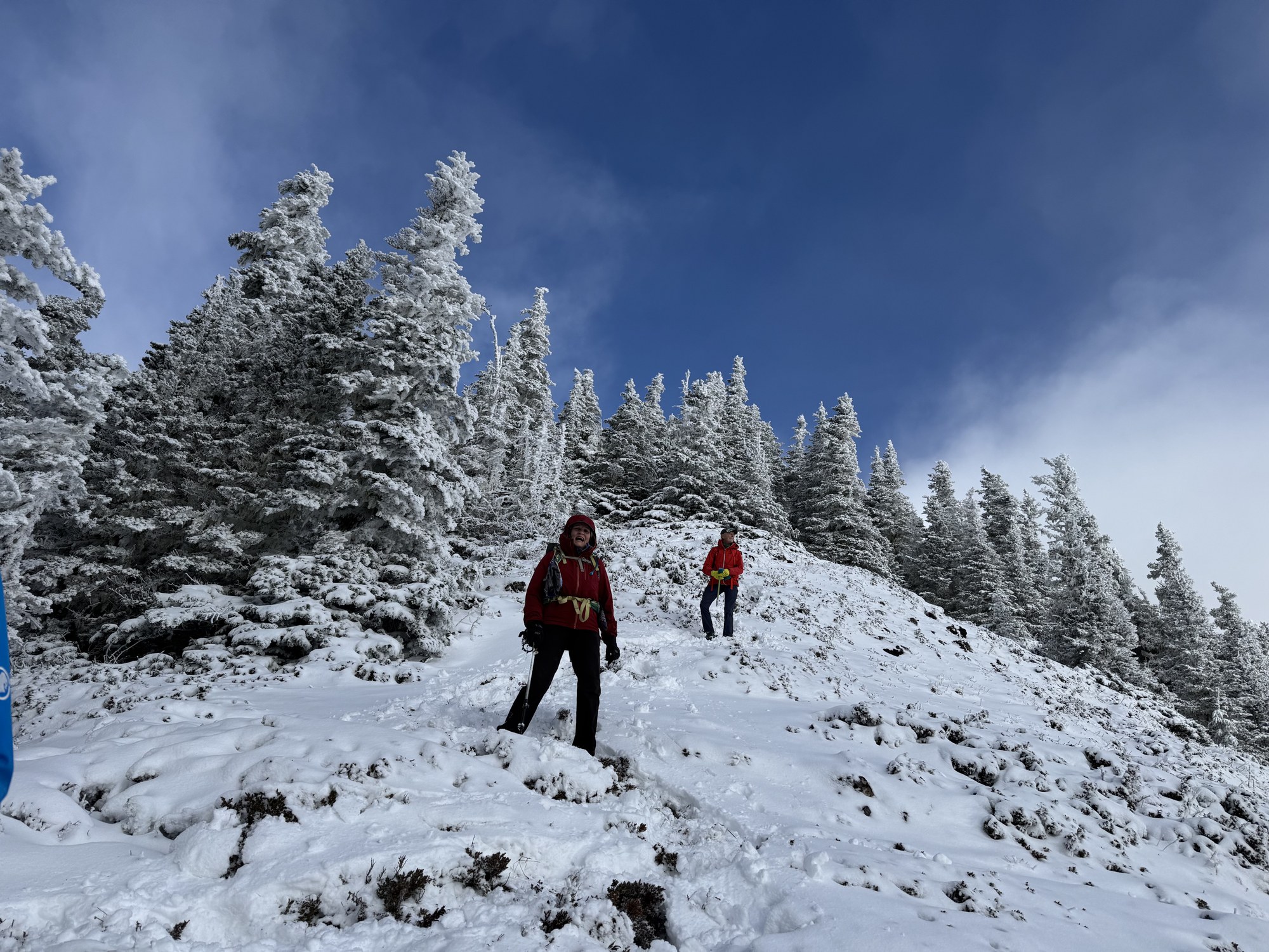 IMG_2765.jpeg IMG_2765.jpeg