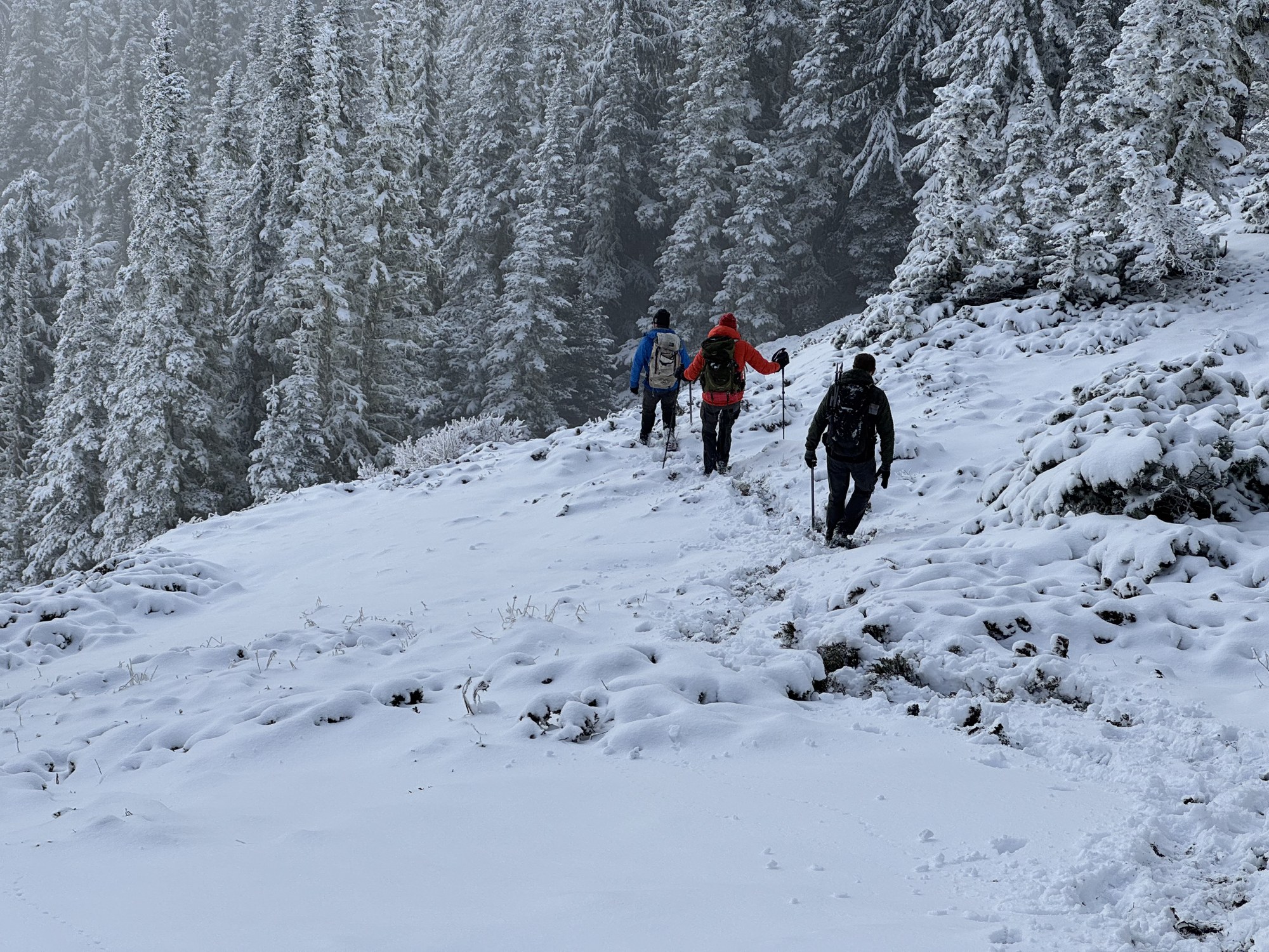 IMG_2770.jpeg IMG_2770.jpeg