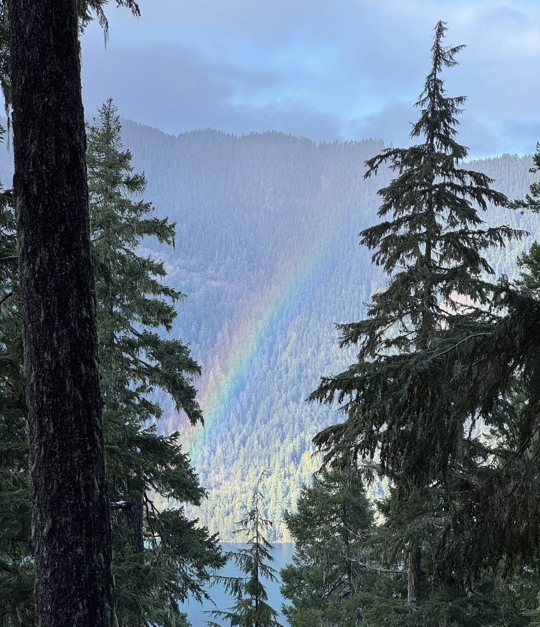 IMG_2772.jpeg IMG_2772.jpeg