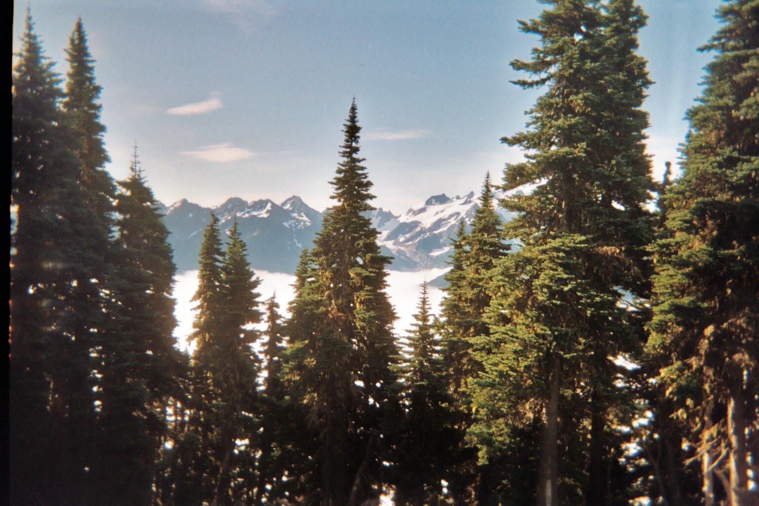 Aurora Ridge — The Mountaineers