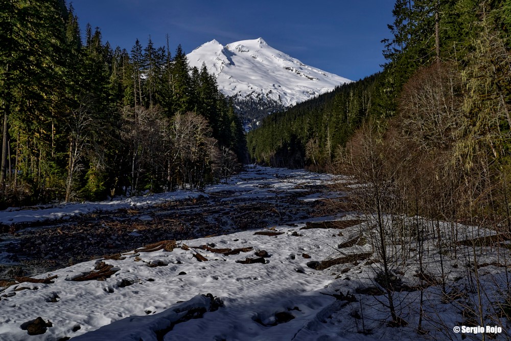 Vista Point Hike.jpg