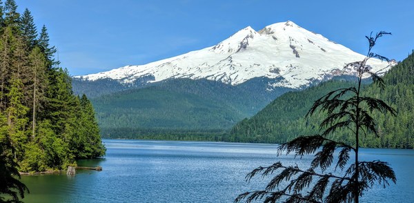 PXL_20210620_163028404 (1).jpg