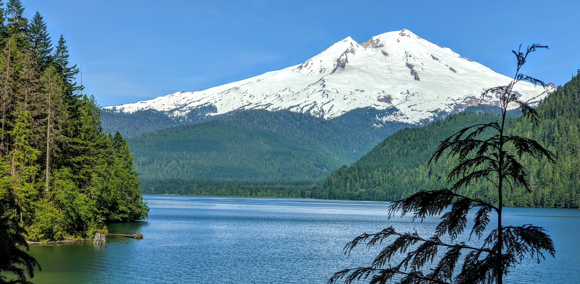 PXL_20210620_163028404 (1).jpg