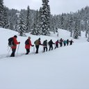 Bald Knob & CCC Cabin