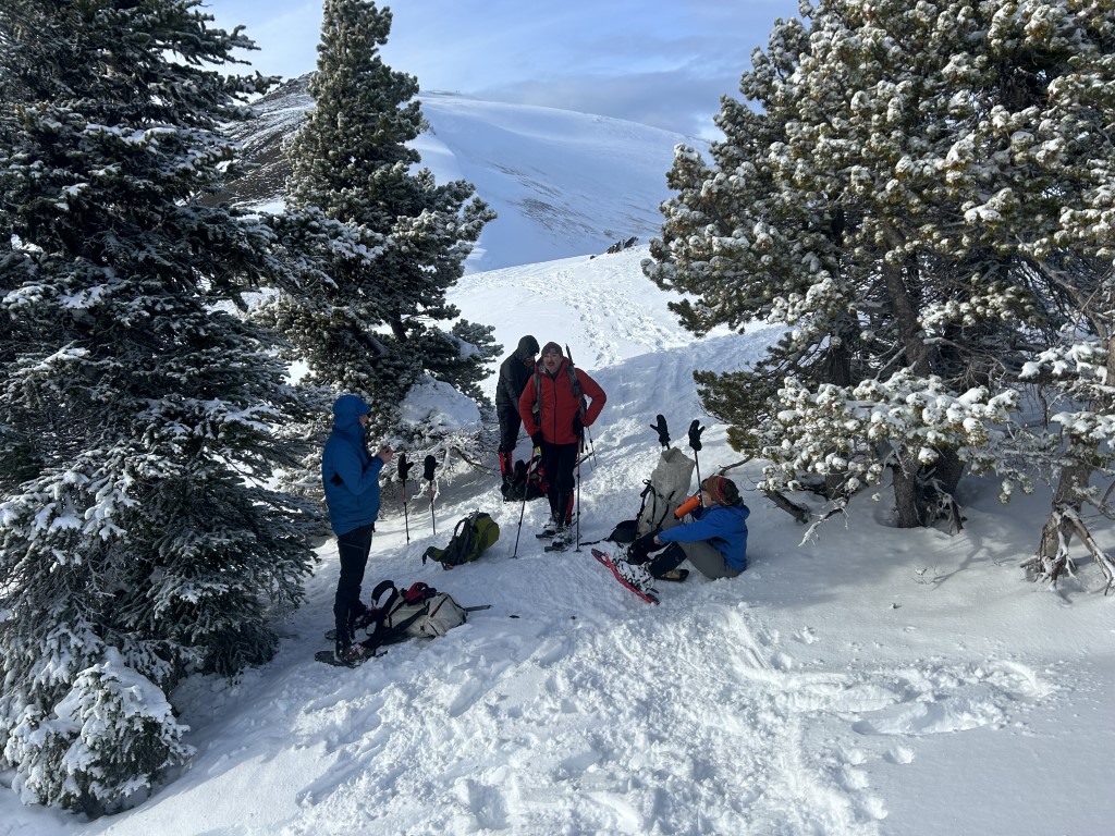 img_2444_52628120828_o (Medium).jpg