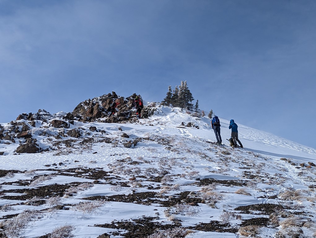 PXL_20230114_203231664 (Medium).jpg