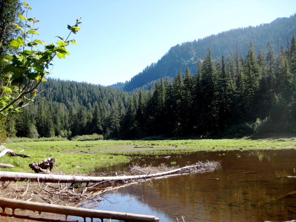Barclay Lake — The Mountaineers