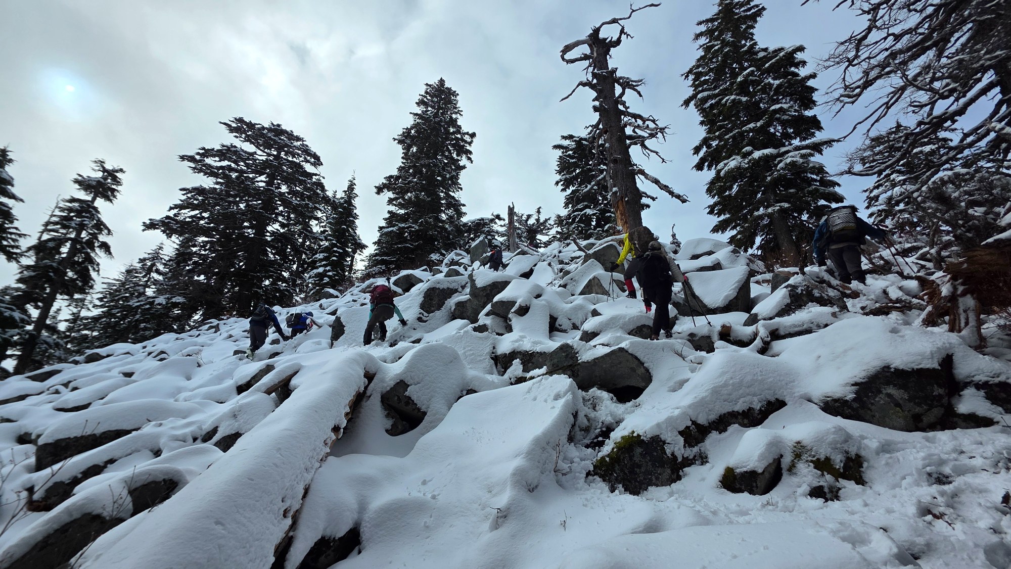 55097208432_0d4acb4666_o (1).jpg