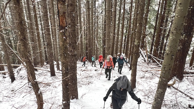 55098201112_7b4760142a_o (2).jpg