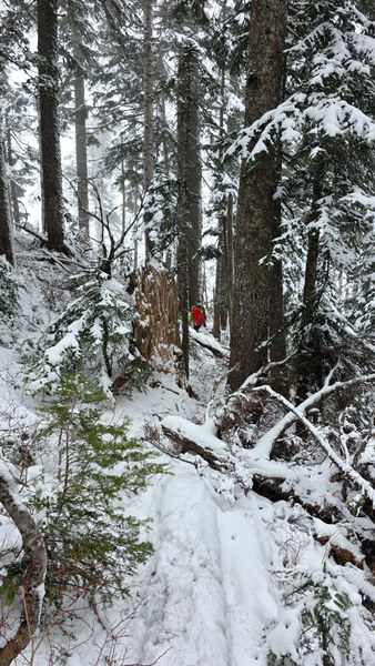 55098287393_3bd5713db7_o (1).jpg 55098287393_3bd5713db7_o (1).jpg