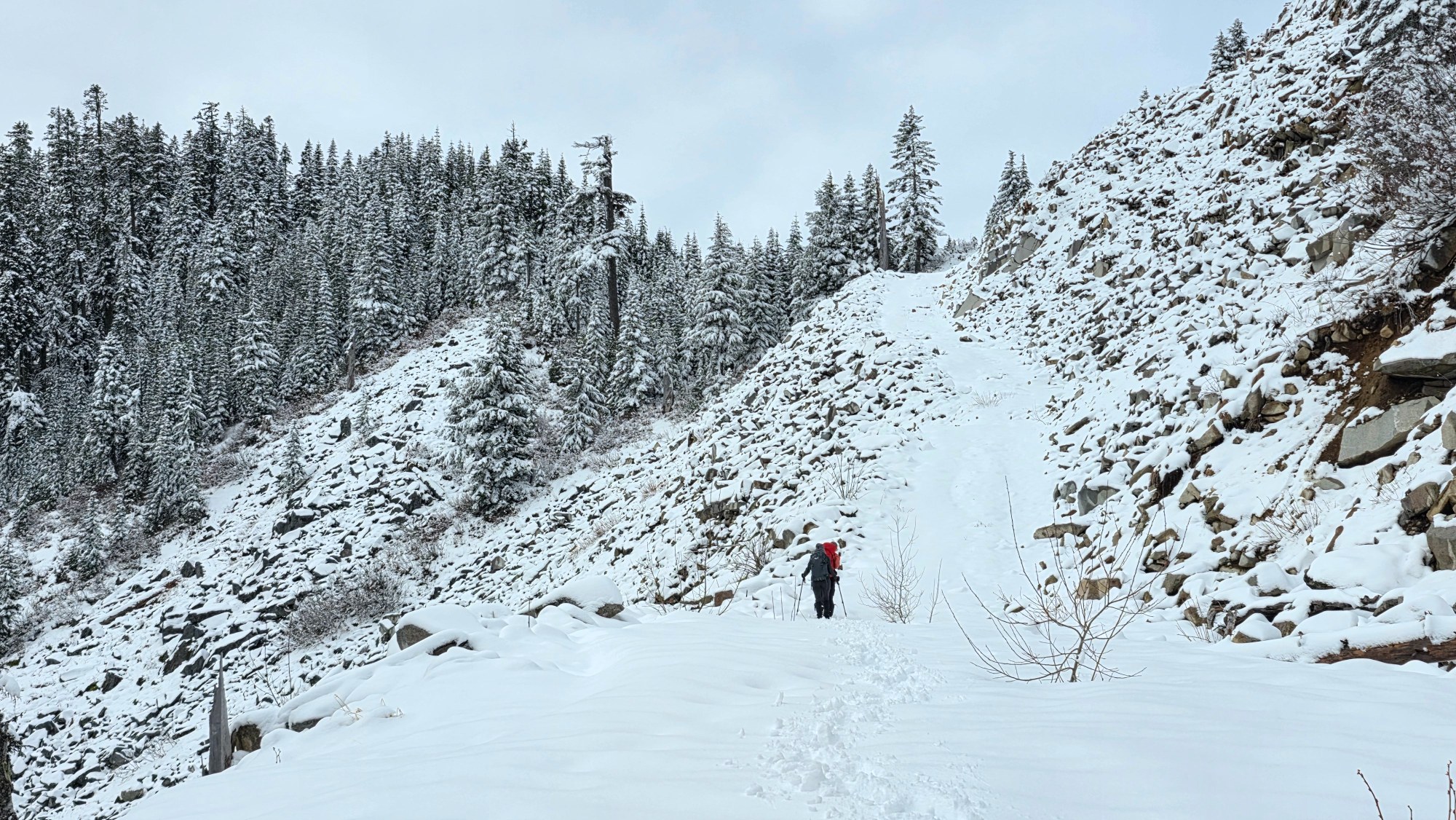 55098454225_a4ce83b203_o (1).jpg