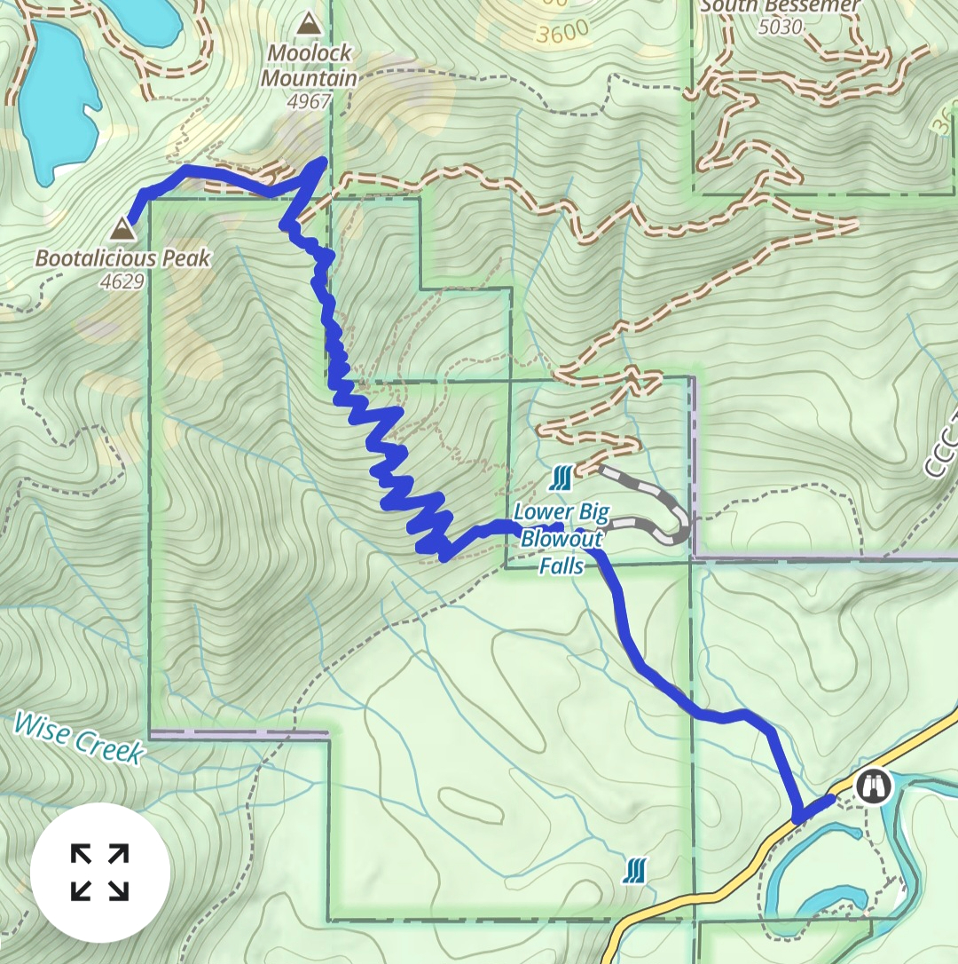 55099042228_a0f2d26f2c_o (1).jpg