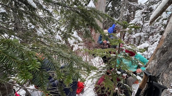 55099279118_9e69cff4ed_o (1).jpg 55099279118_9e69cff4ed_o (1).jpg