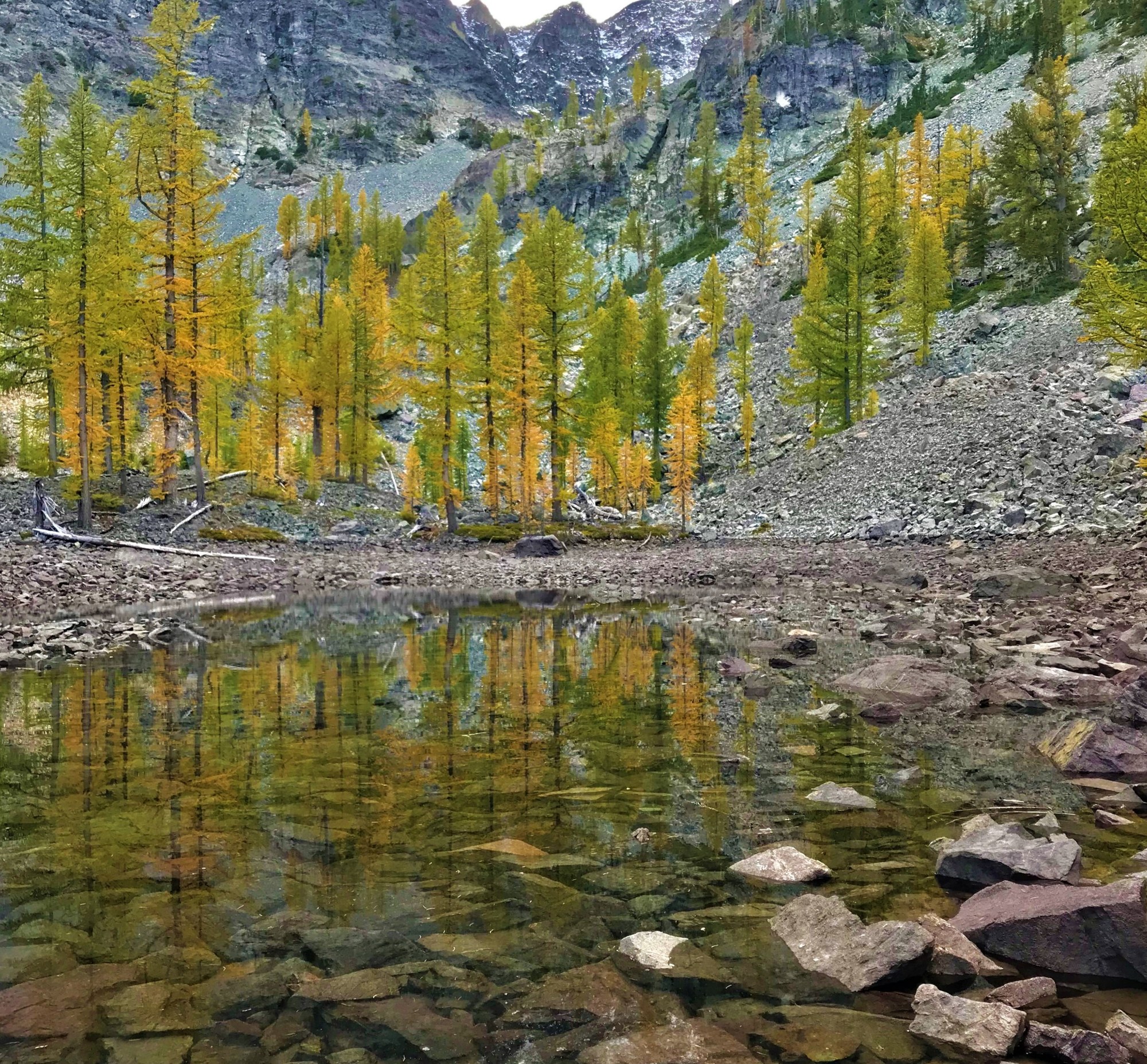 Photo Sep 19, 5 20 10 PM.jpg