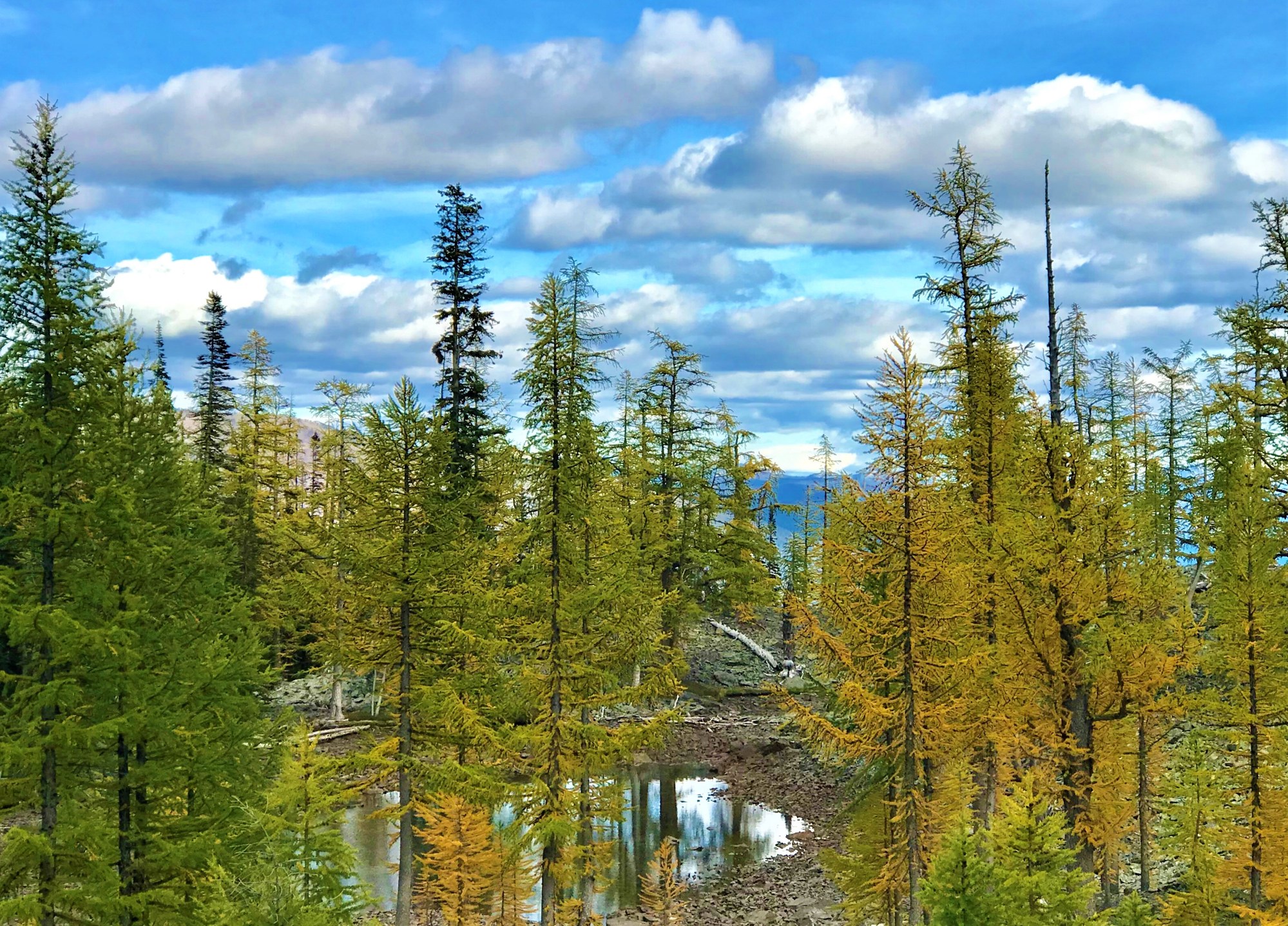 Photo Sep 20, 3 53 29 PM.jpg