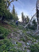 Screenshot 2025-10-27 235035.jpg