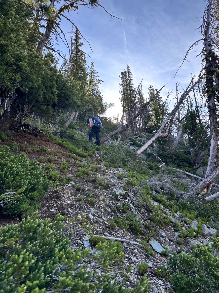 Screenshot 2025-10-27 235035.jpg